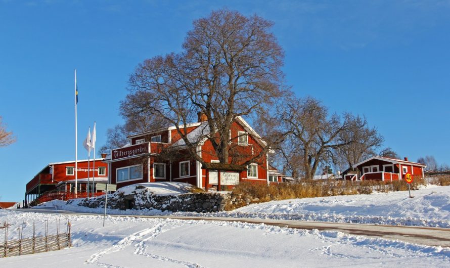 Quelles sont les activités à faire durant un séjour en Scandinavie pendant l’hiver ?